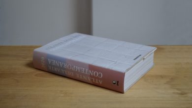 Photo of FEDORA SPINELLI NEL VOLUME DELL’ARTE CONTEMPORANEA
