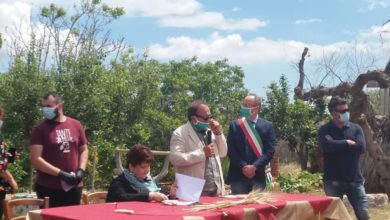 Photo of Cia Puglia, “Ministro Bellanova, ecco i 10 punti per ripartire”