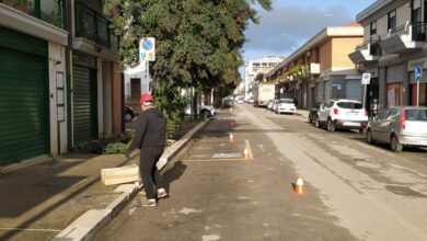 Photo of AVVIATA LA POTATURA DEGLI ALBERI IN NUMEROSE ZONE DELLA CITTA’.