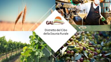 Photo of Distretto del Cibo della Daunia Rurale, candidatura in Regione