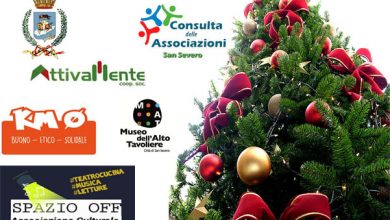 Photo of Domenica 12 dicembre addobbiamo l’albero insieme in piazza San Francesco