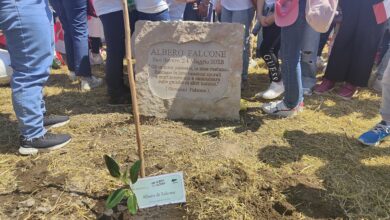 Photo of PIANTUMATO IL FICUS PER RICORDARE IL GIUDICE GIOVANNI FALCONE. “UN ALBERO PER IL FUTURO”.